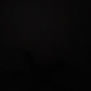 Meet your Posher, Mallory